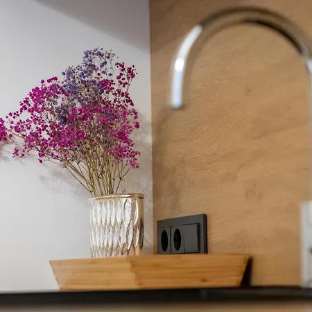 Apartment Senamiestis